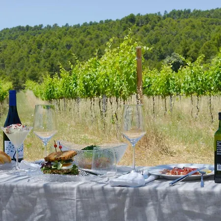 Torre Del Marques & Winery - Small Luxury Otel Monroyo