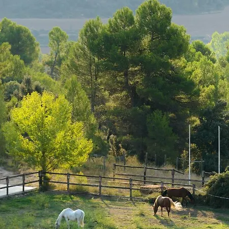 Otel Torre Del Marques & Winery - Small Luxury