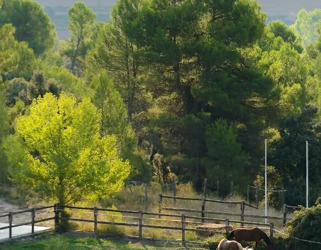 Hotel Torre Del Marqués - Small Luxury